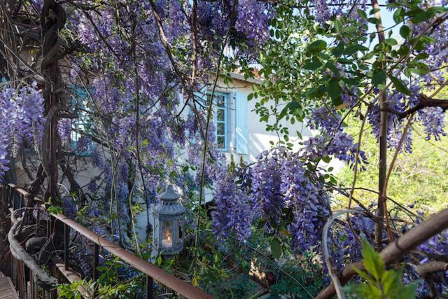 La Vieille Maison - Halte Gourmande Durfort-et-Saint-Martin-de-Sossenac Exteriér fotografie