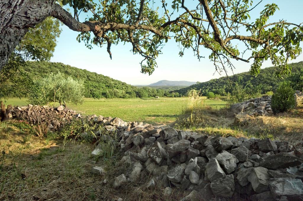La Vieille Maison - Halte Gourmande Durfort-et-Saint-Martin-de-Sossenac Exteriér fotografie