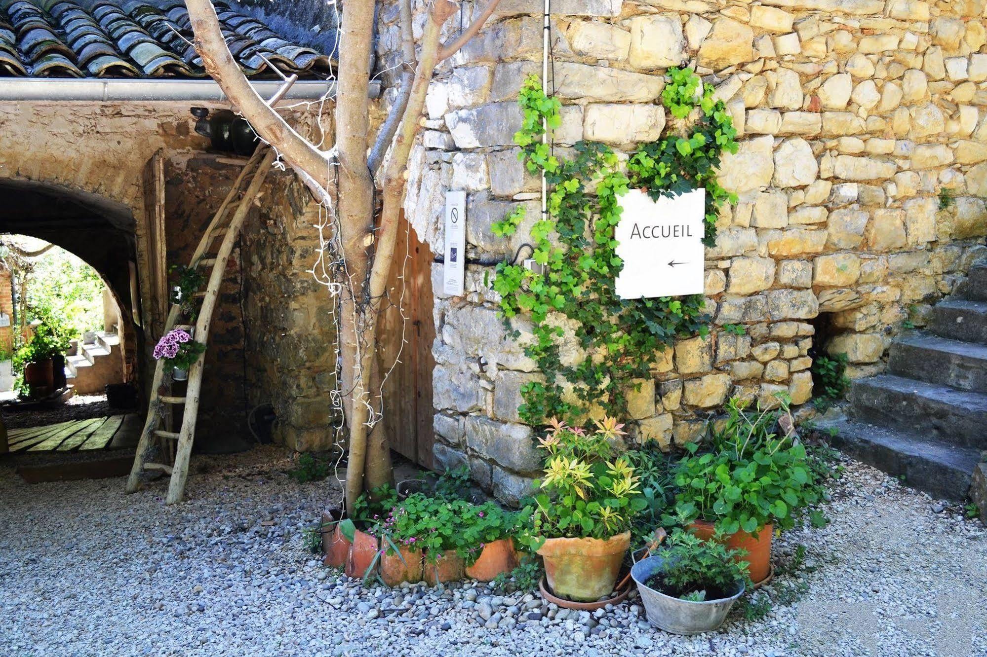 La Vieille Maison - Halte Gourmande Durfort-et-Saint-Martin-de-Sossenac Exteriér fotografie